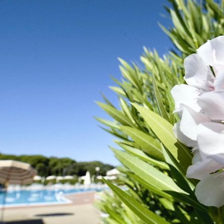 Isa-Apartments 4 Beds In Residence With Swimming-Pool In San Vincenzo, Just 600 Meters From The Sea المظهر الخارجي الصورة