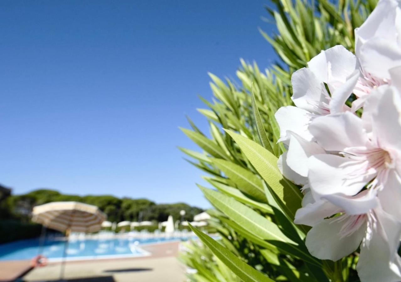 Isa-Apartments 4 Beds In Residence With Swimming-Pool In San Vincenzo, Just 600 Meters From The Sea المظهر الخارجي الصورة